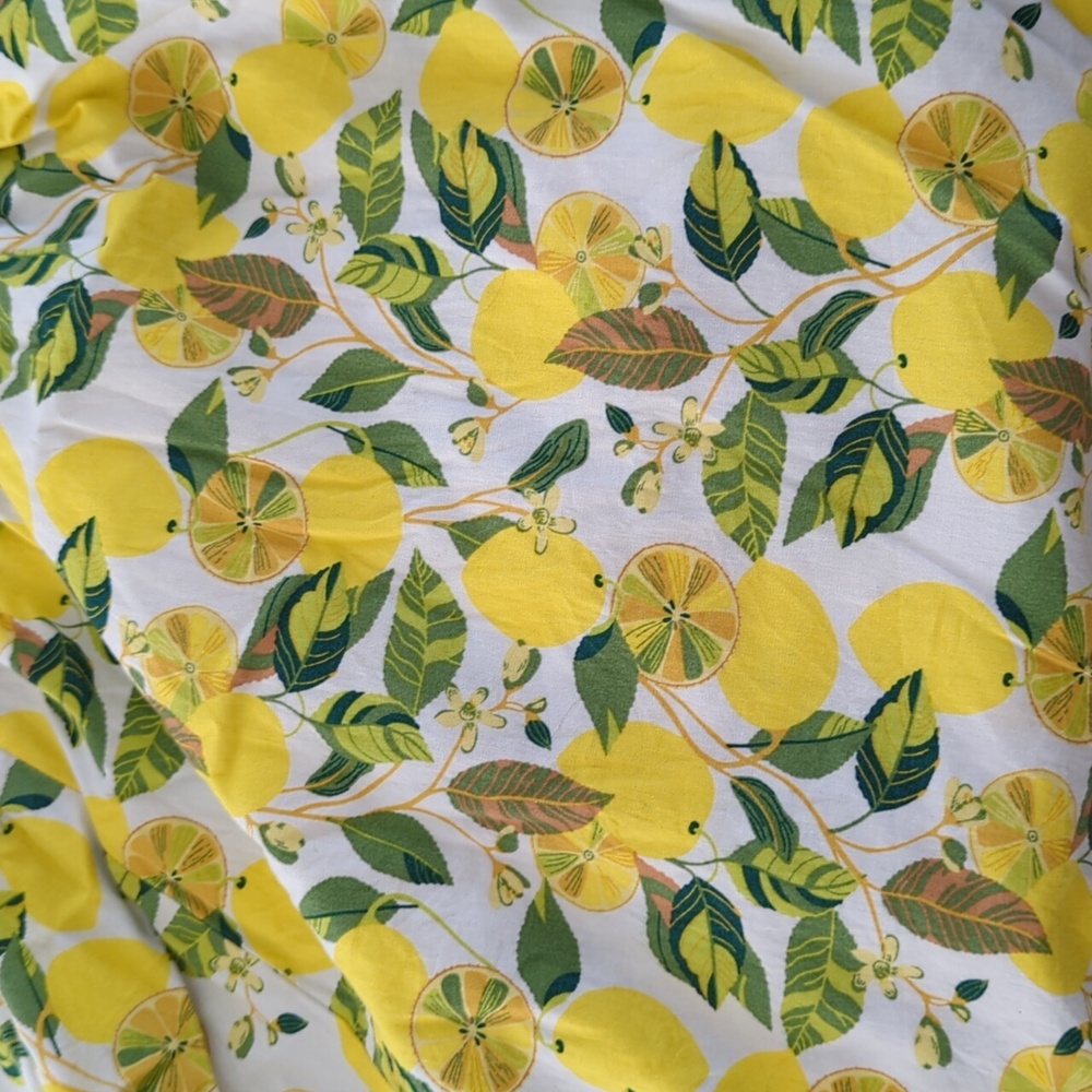 2/$40 - Boden Women's Lemon and Leaf Printed Maxi Dress (US 20/22R) - Picture 4 of 6